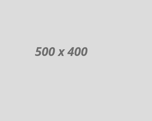 project-img1